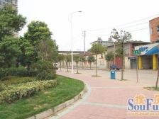 朝阳嘉园 南北通透,采光好 装修好,环镜优美 视野好,诚心出售