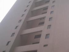 白玉兰奖小区,陆家嘴集团物业,品质用心设计,拎包入