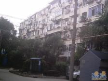 新上上钢一房一厅送阁楼,送面积,送全明户型 小区中间随时看房