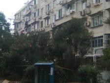 变现,诚售可谈,边套全明户型。近7、8和13号站