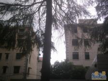 乳山四村 2室1厅 南 北