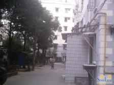 北蔡中环内,巴黎春天,山姆会员,13号线下南路站。