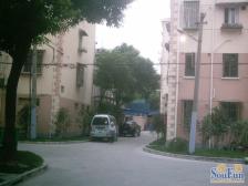 zhong yang 空调 新风系统 精装修 中楼层 小区央位