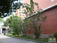 绿地御桥苑温馨小窝 送阁楼 **诚购可议价