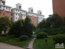 双地铁,好位置中楼层!南北通透光线好,诚意出售!