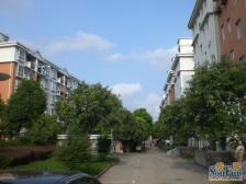 2003年小区建平地杰部中间楼层诚意卖