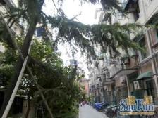 新华路,南北小两房,诚意出售