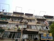 NEW~百年风采梧桐树,地段佳!邀您共赏