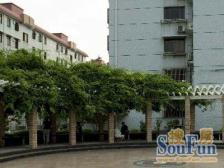 户型方正双南全明 采光无遮挡 满五年 双轨交 单价便宜