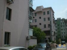 浦东中环 北蔡近地铁 双南两室一厅