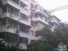 北蔡·莲业新村·1房2厅非顶楼全明户型。