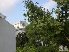 御桥·经典花园·4室·3厅