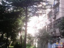 海运新村 2室1厅 南 北