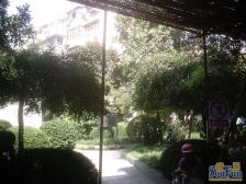 海运新村 2室1厅 东南