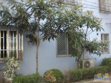 北蔡·标马小区·1室·1厅