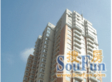 徐汇嘉馨公寓 3室1厅 南