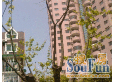 近地铁站,小区环境干净,装修保养好,采光一绝。