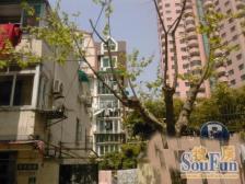 嘉馨公寓2室2厅2卫南朝向1350.00万元/套出售