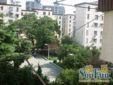 世博电梯房,7号线地铁口100米,可拎包入住!