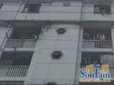 浦东世博·上钢一村·1室·0厅