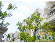 唐镇国际社区的别墅小区 小区潜力无限 与公园隔河相望