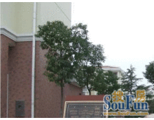 唐镇国际社区的别墅小区 小区潜力无限 与公园隔河相望