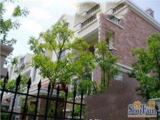 唐镇国际社区的别墅小区 小区潜力无限 与公园隔河相望