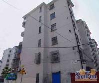 川沙·临河小区·1室·1厅