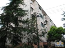 江湾·镇北小区·2室·0厅