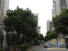 明珠迎桥 无遮挡 零费房