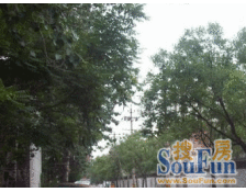 梅陇·莲花苑·2室·2厅