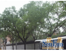 莲花苑2室南朝向399.00万元/套出售