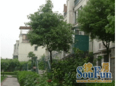 莘庄地铁口0距离 出行方便 户型好 中间楼层采光好