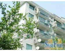 联鑫虹桥苑 3室2厅 南