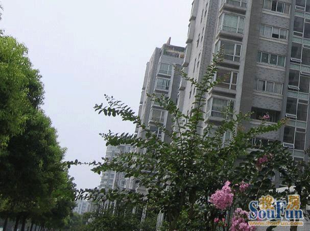 小区相关图