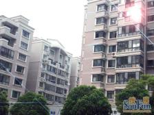 近地铁,现场实勘 产权清晰,1梯2户,业主诚意