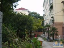 近地铁 现场实勘,中间楼层 必看好房