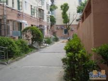 新出 中间楼层 边套全明 拎包入住 采光无遮挡