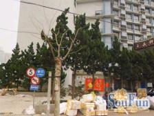 内环静安普陀交界处,适合小年轻过渡使用,还贷压力小