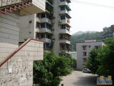 学府路 宽仁雅苑三房65万