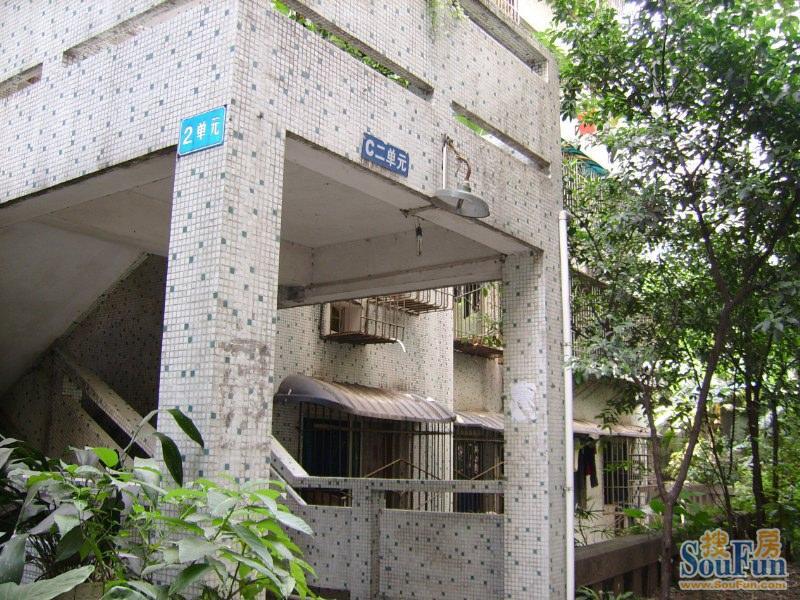 杏园小区图片相册,户型图,样板间图,装修效果图,实景图-重庆房天下