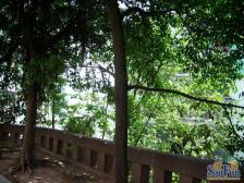 四公里 杏园小区三房51万