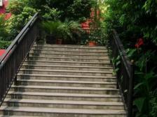 南坪 渝能都市经典三房150万