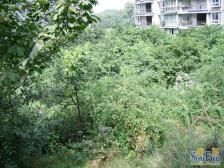 学府路 今宏家苑二房61万