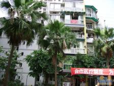 两房住家装修户型方正出行方便住家安静证在手