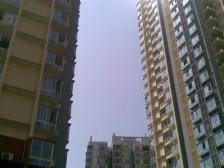 阳光小筑 2室1厅 东南