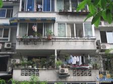 青和里南段98号 2室1厅 南