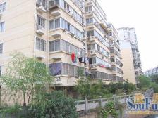 南昌外国语旁 桃苑大街单位房 停车方便 户型通透