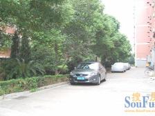 心雨花园 南北通透,采光好 装修好,环镜优美 视野好,诚心出售