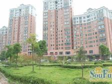 小区干净整洁 全明户型方形板正 户型通透客厅连阳台